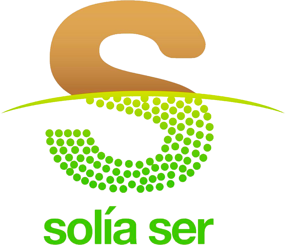 Imagotipo Solía Ser